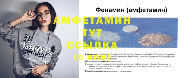 ГАЛЛЮЦИНОГЕННЫЕ ГРИБЫ Аркадак