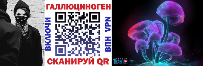 магазин    Малоархангельск  Галлюциногенные грибы Psilocybine cubensis 
